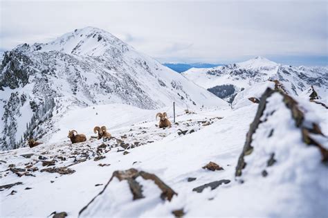 Taos | New Mexico | USA