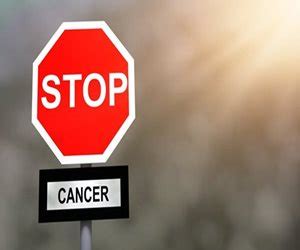 Inexpensive Supplement Fights Breast Cancer Death Risk | Newsmax.com