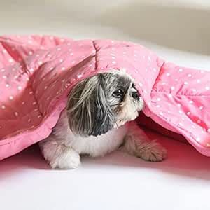 Heads Up For Tails Sweet Dreams Small Polka Pet Blanket - Pink : Amazon ...