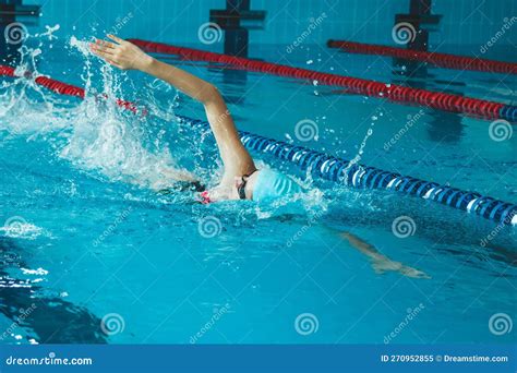 Swimmer 的图像结果