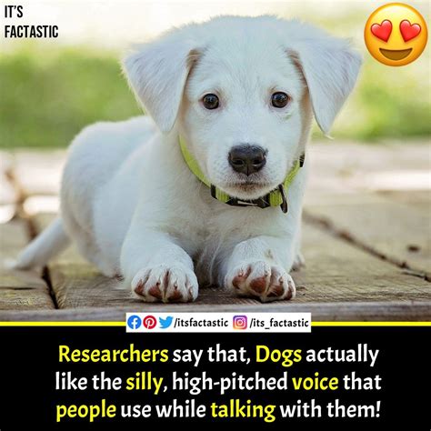 Why Do I Hate High Pitched Voices at Laura Stanley blog