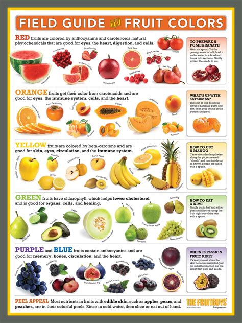 A Field Guide to Fruit Colors: What They Really Mean for Your Health