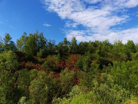 Das Beingefühl – enjoying the postapocalypse