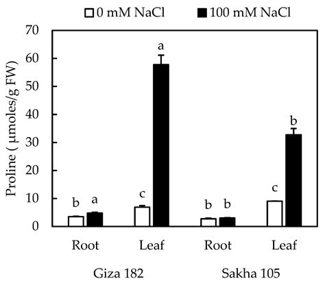 Relationship of Salinity Tolerance to Na+ Exclusion, Proline ...