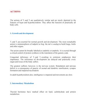 Physiology of male reproductive system - PHYSIOLOGY OF THE MALE ...