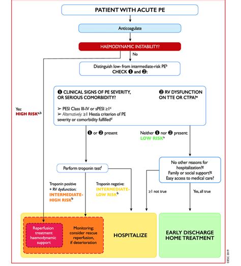 Pulmonary Embolism Algorithm 的图像结果
