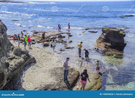 La Jolla Tide Pools with People Enjoying the Sunny Day Editorial Photo ...