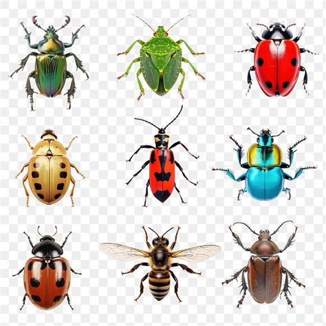 iCLIPART 的图像结果