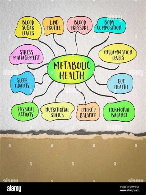 components and factors affecting metabolic health, infographics mind ...