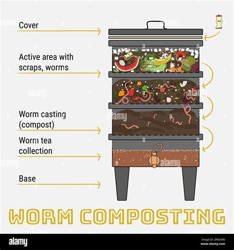 A Diagram Of A Worm Composting Teach Kids About Composting With An