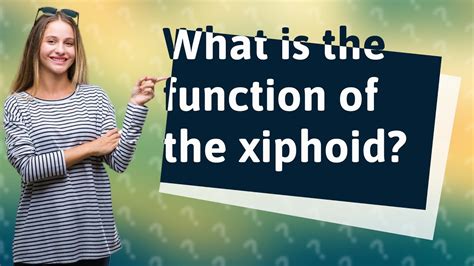 Xiphoid Process Problems 的图像结果