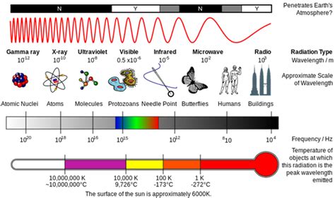 Photosynthesis and its requirements — lesson. Science CBSE, Class 10.