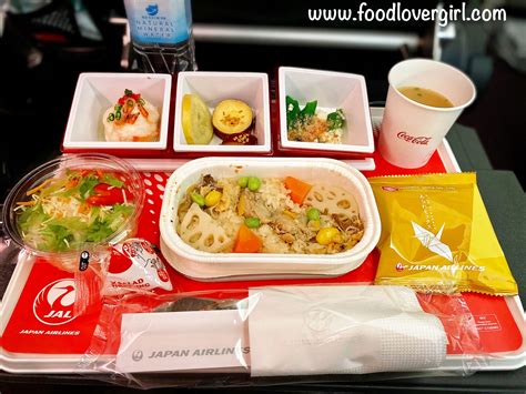 Airline Meal 的图像结果