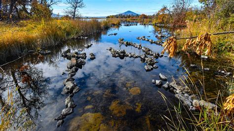 Spot Check: Fall River - The Gem of California's Natural Springs ...