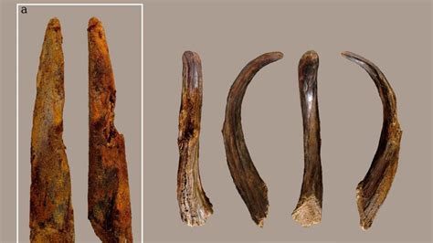 Hallada en Vizcaya una pieza de madera utilizada por neandertales hace ...