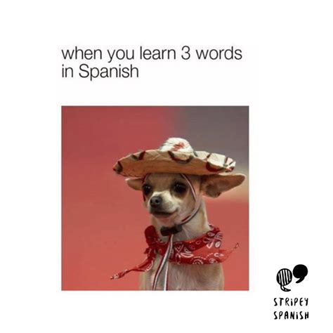 Funny Spanish Class Memes