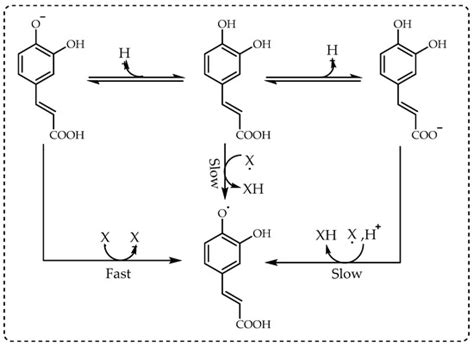 DPPH Radical Scavenging Assay | Encyclopedia MDPI