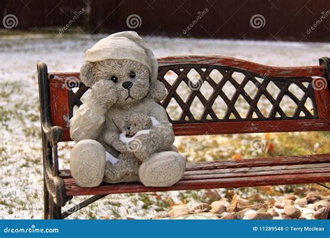 Teddy Bear on a Park Bench stock photo. Image of park - 11289548