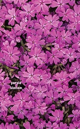 Buy Purple Blossom: Bullet Grid Journal With Page Numbers (Bullet ...