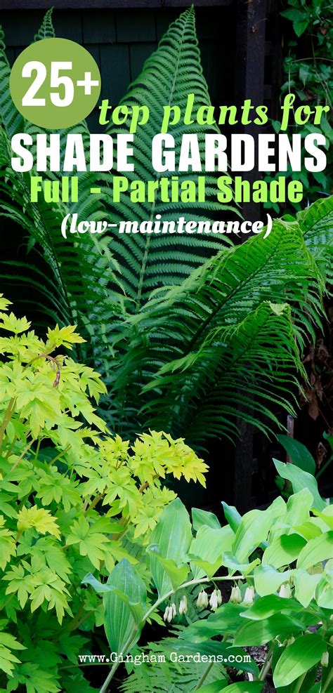 Made In The Shade Gardens (Beautiful Ideas for Your Shade Garden ...