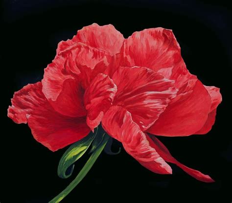 Poppy Dance feat. Joel Young Band!, American Legion Post 47 Fort Wayne ...