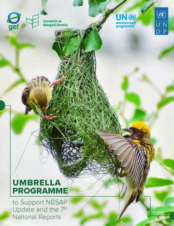 Global Biodiversity Framework action and NBSAP support | United Nations ...