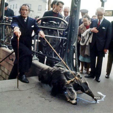 Renowned painter Salvador Dali had a huge love for his pet anteater