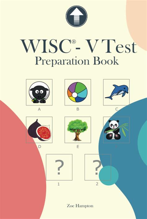 Wisc V Testing Practice 的图像结果