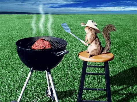 Image result for Sandy Cheeks Cowboy Hat