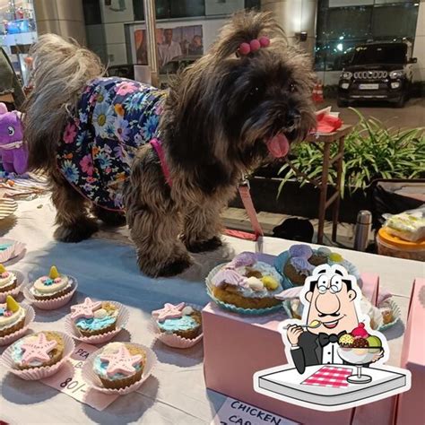Drooling Tails Pet Bakery, Mumbai - Restaurant reviews