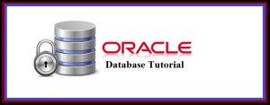 Image result for Oracle Database Tutorial