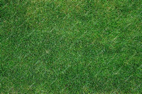 Natural Grass Field 的图像结果