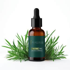 Flaviour Tea Tree Essential Oil (Melaleuca alternifolia) 100% Pure ...