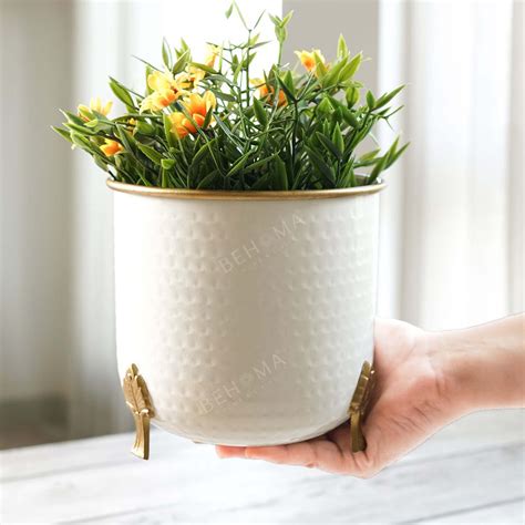 Metal Gold Rim Leaf leg Planter, Set (Pot Only) – Behoma