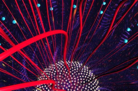 Image result for Processing Program