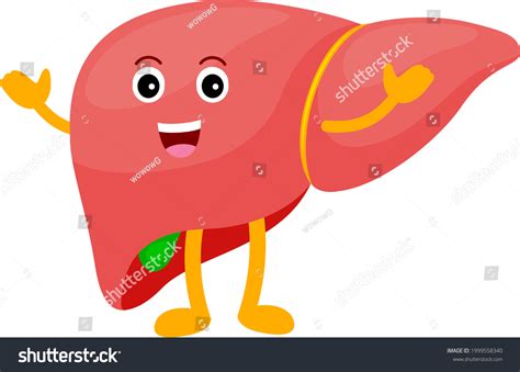 Image result for Liver Function Grincs