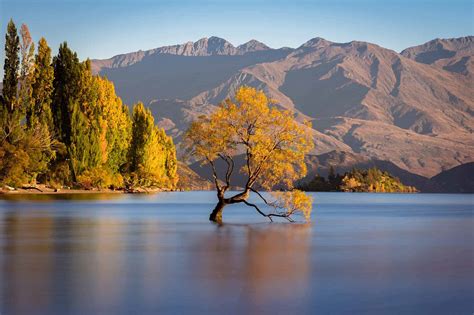 New Zealand Travel Map 的图像结果