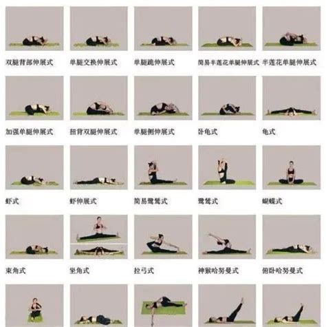 北京瑜伽馆收费标准-瑜伽健身馆排行榜前十名 - 知乎