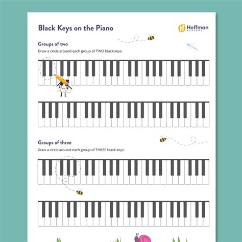 Black Piano Keys Chart Names Of White Keys