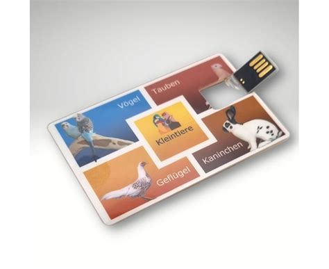 Image result for USB-Stick Card