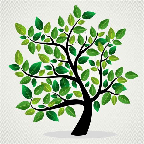 Ancestry Tutorials 的图像结果