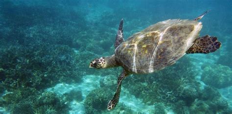 Madagascar with kids I VOIHotels