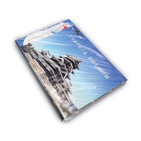 Enjoy Samurai Castles! Japanese Castle -24 Best | Ubuy India