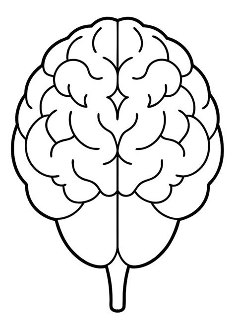 Page 5 | Brain outline drawing Images - Free Download on Freepik