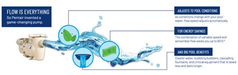 Image result for Sta-Rite Intellipro3 VSF Programming