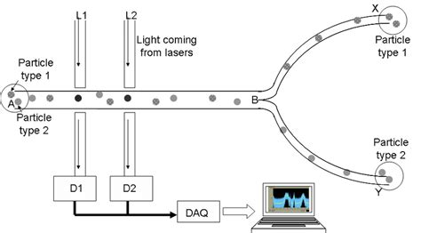 Image result for Electrostatic Cell Sorting