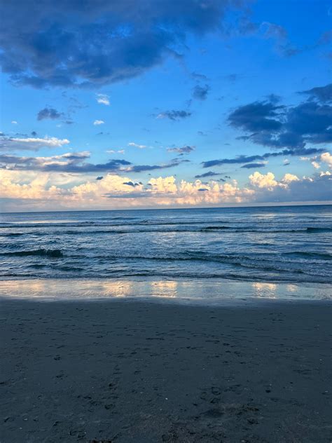 🌱 Why Is The Water So Blue? + Dr. Conner Running For City Council ...