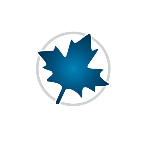 Maple Math Software 的图像结果