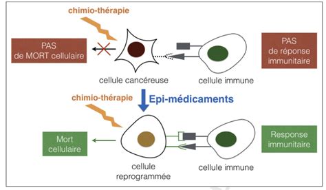 Image result for DNA Reprogramming