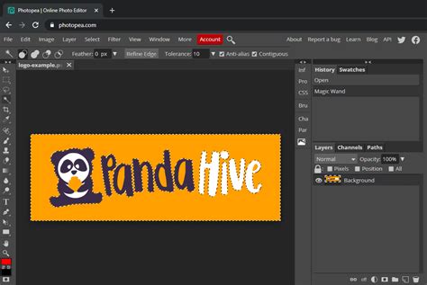 Local Logo Transparent Background 的图像结果